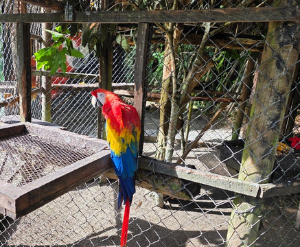 内陆自然保护区酒店主图