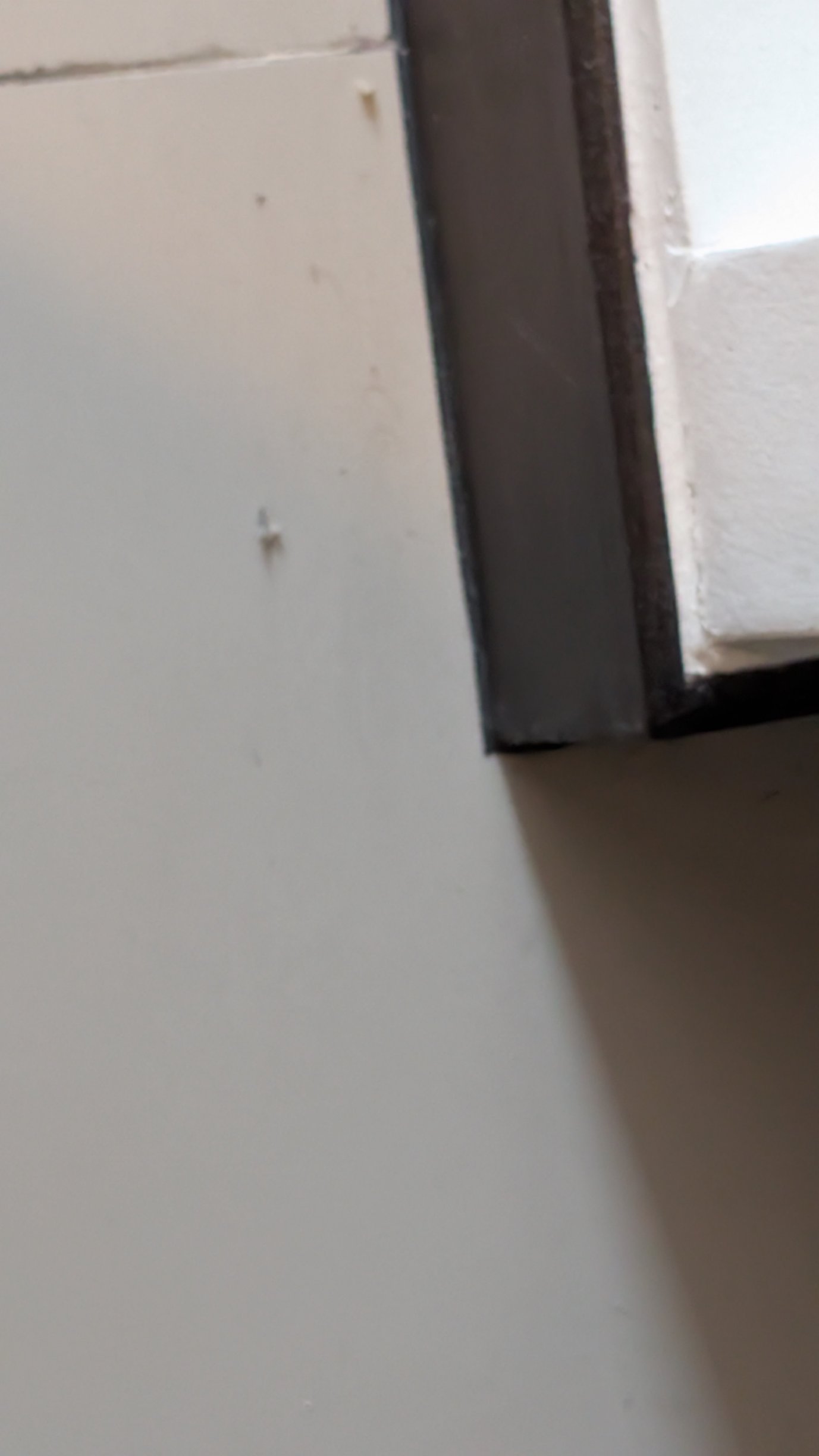 拜伦海滩酒店-官方