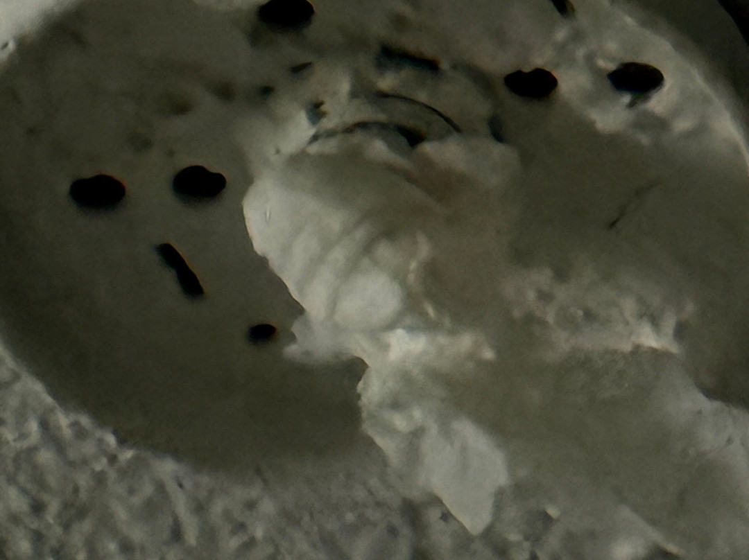 库克维尔温德姆呗盟酒店主图