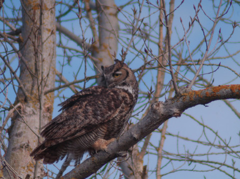 默塞德国家野生动物保护区-默塞德必去景点