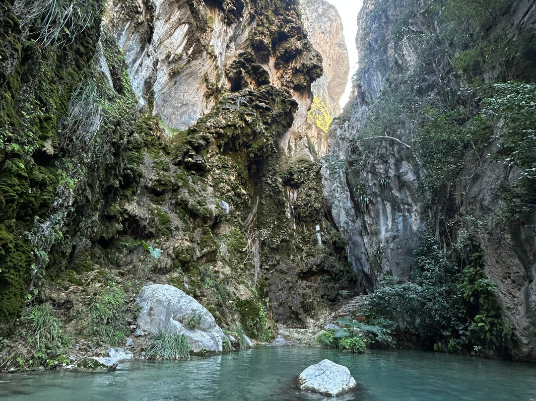Huellas Mexicanas. Viajes y Experiencias Gastronomicas-墨西哥城必去景点