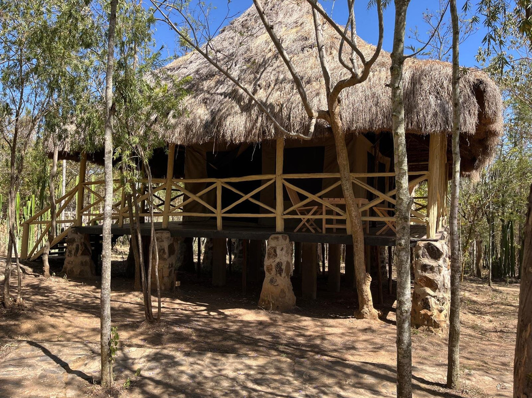 Ngari Hill Ecolodge主图