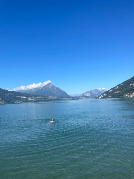 诺伊豪斯高尔夫及斯特兰德酒店-官方