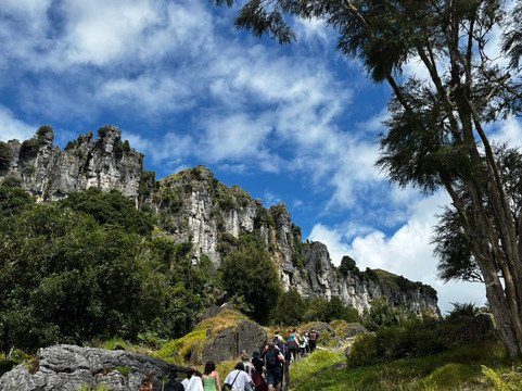 Red Carpet Tours-奥克兰中心地区必去景点