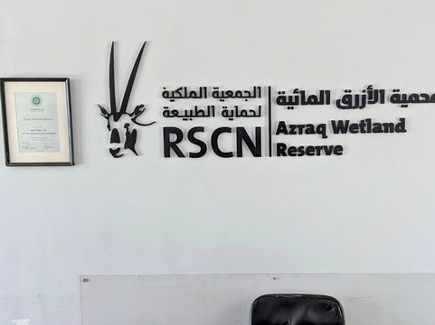 Azraq Wetland Reserve-Azraq必去景点