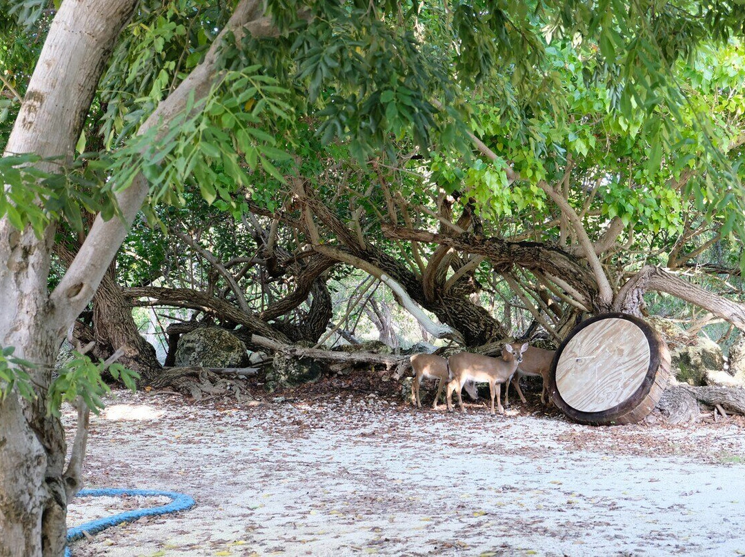 巴纳克度假村主图