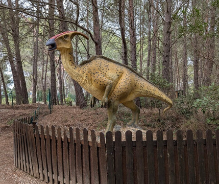 Musee - Parc des Dinosaures-Meze必去景点