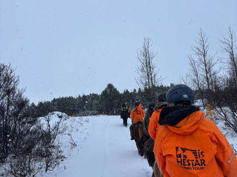 Ishestar Horse Riding Tours-雷克雅未克必去景点