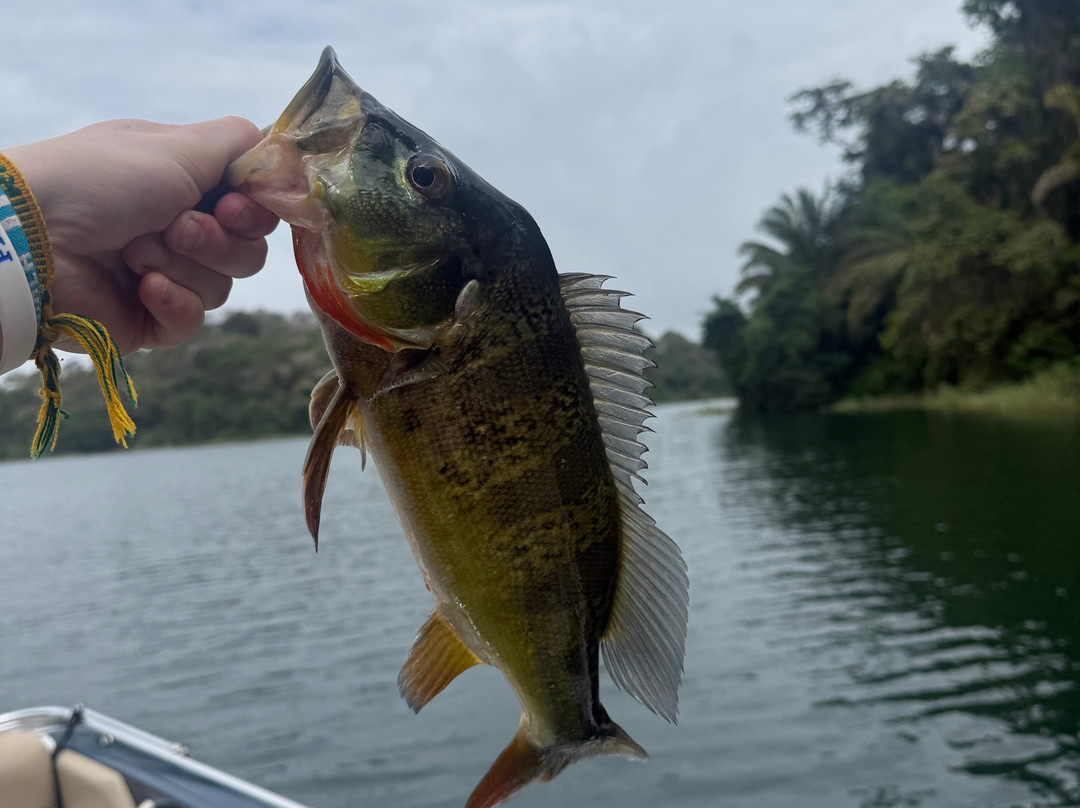 Gatun Sport Fishing Lodge-巴拿马城必去景点