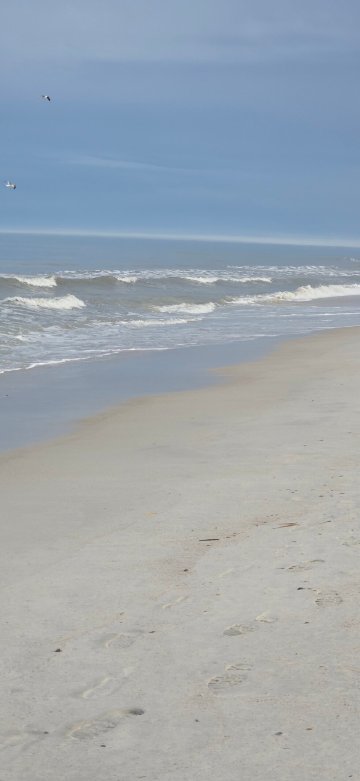 海滨阿梅利亚酒店 - 艾米利亚岛-官方