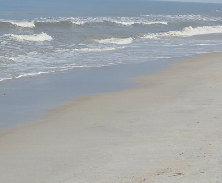 海滨阿梅利亚酒店 - 艾米利亚岛主图