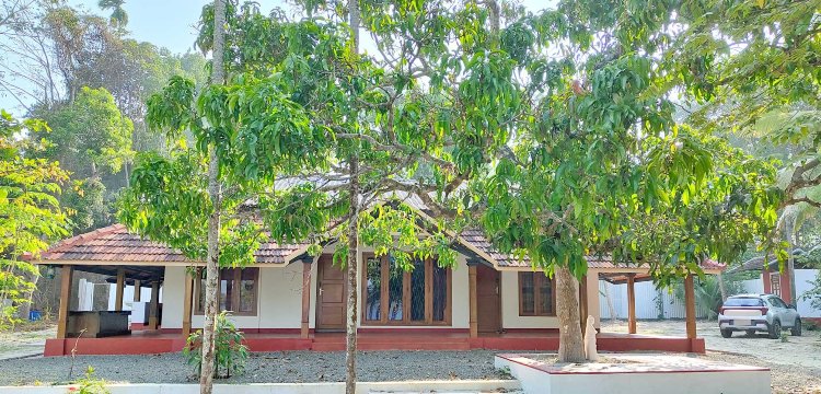 Roomy's Convention Center-客卧