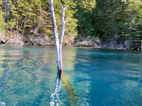 Bosque Sumergido-Villa Traful必去景点