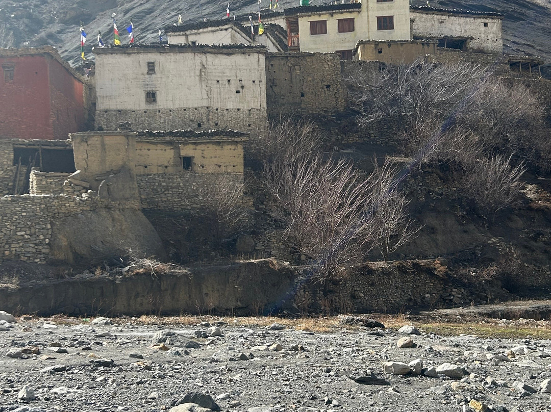 Shinta Mani Mustang主图