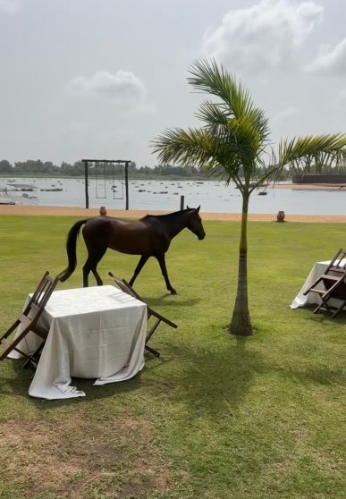 Aqua Safari Resort-官方