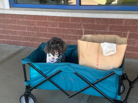 伦瑟母时尚购物名品折扣村-伦瑟姆必去景点