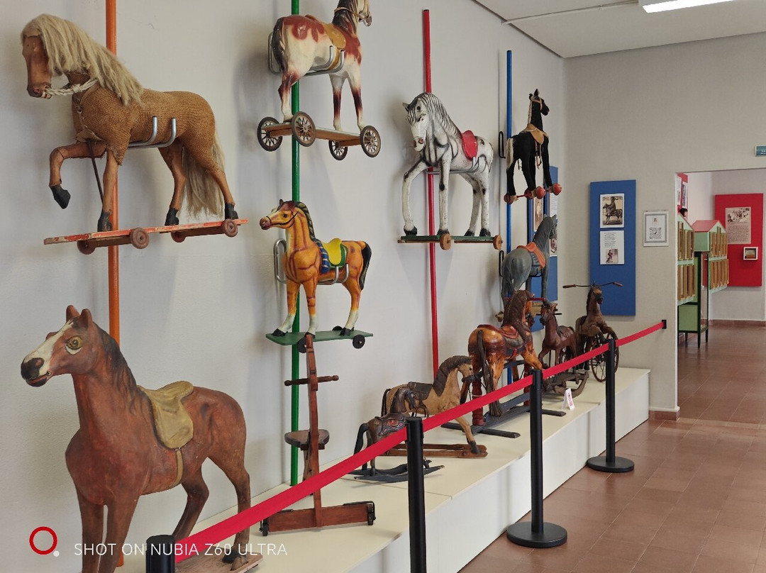 Museo del Niño-阿尔瓦塞特必去景点