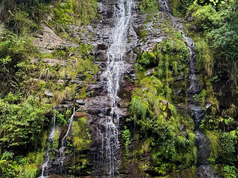 Trilha Do Rio Do Boi-Praia Grande必去景点