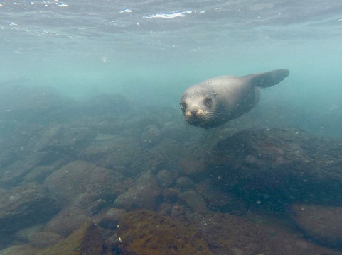 Playa Baquerizo-Puerto Baquerizo Moreno必去景点