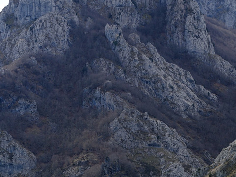 Escuela Asturiana de Surf-利亚内斯必去景点