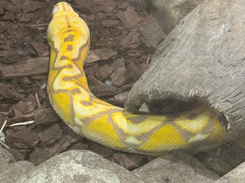 哥伦布动物园-Powell必去景点