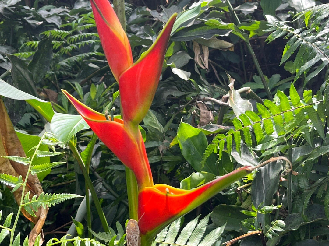 The Kings Gardens Maui-Huelo必去景点