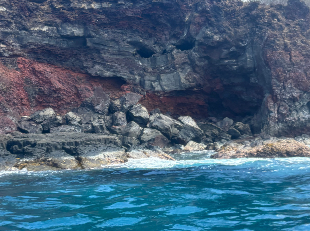 Kona Ocean Experience-凯鲁瓦-柯纳必去景点