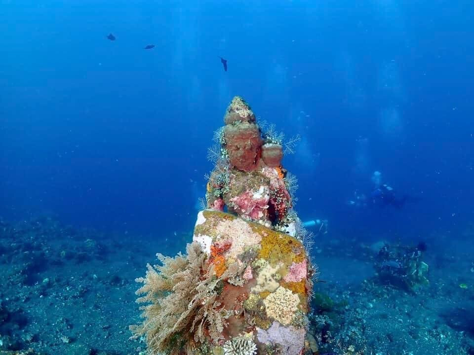 巴厘岛自由潜水度假村主图