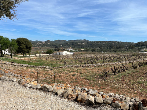 Casa Agrícola Pepe Mendoza-Lliber必去景点