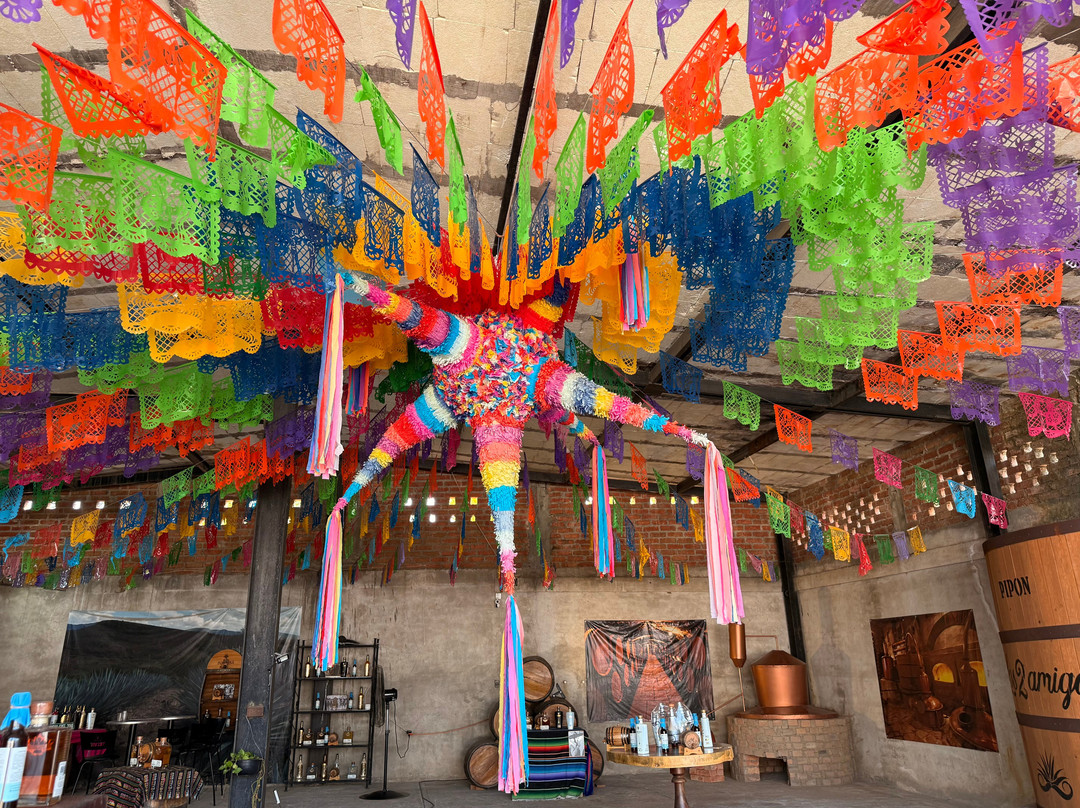 Los 2 Amigos Tequila Museum & Tasting Gallery-La Cruz de Huanacaxtle必去景点