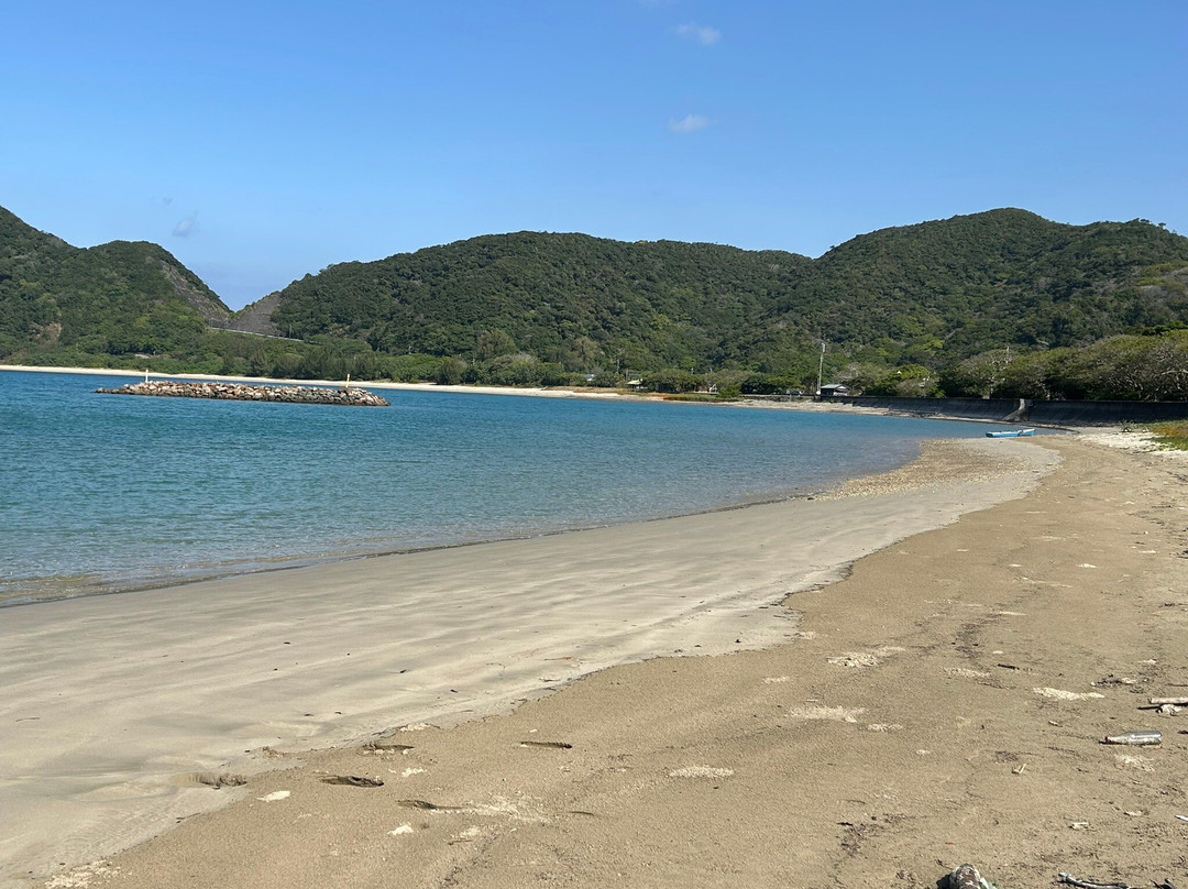 Shodon Deigo Trees-濑户内町必去景点