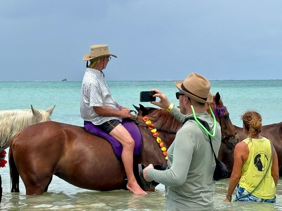 Being with Horses-Buccoo必去景点