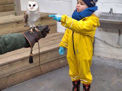 Cockfields Farm Park-Ashton-under-Lyne必去景点