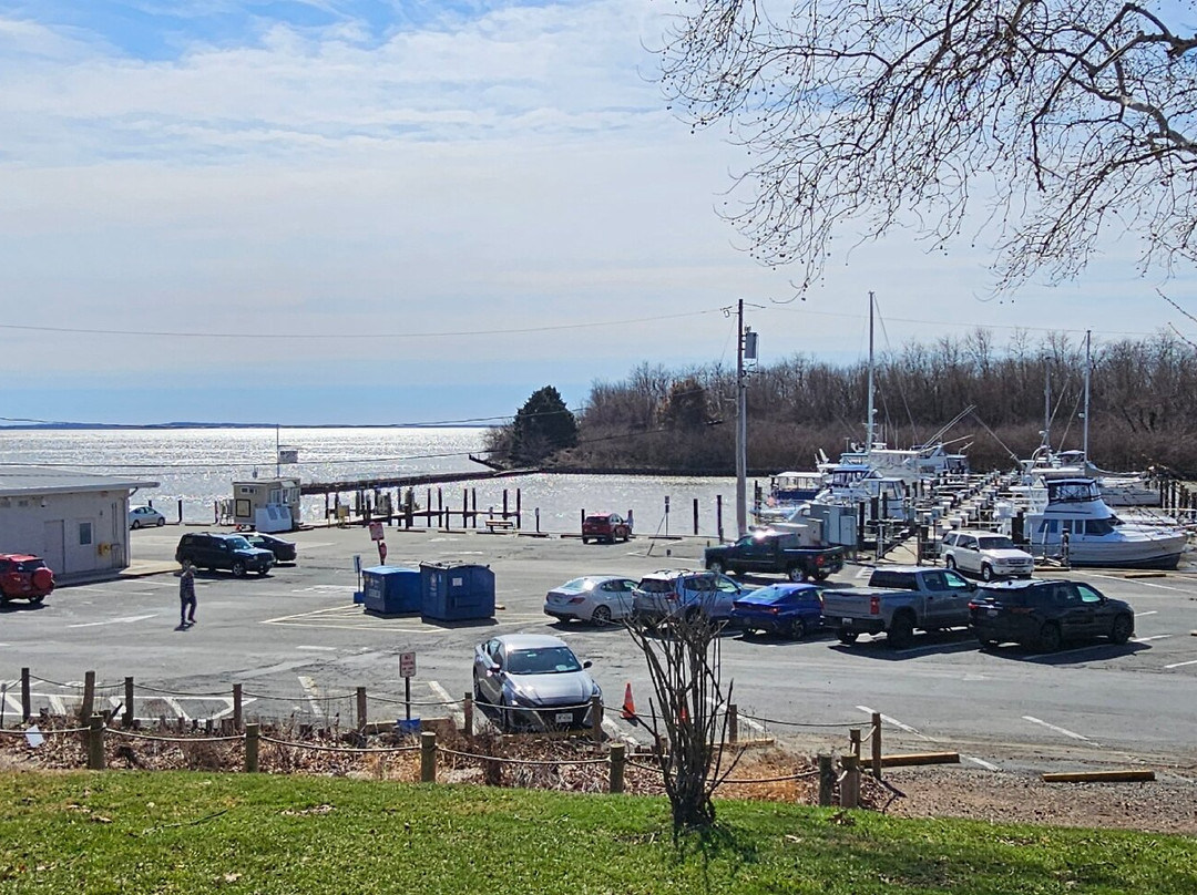 Havre de Grace Basin Marina-Havre de Grace必去景点