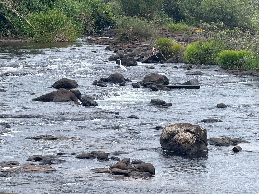 Guayi Travel-伊瓜苏必去景点