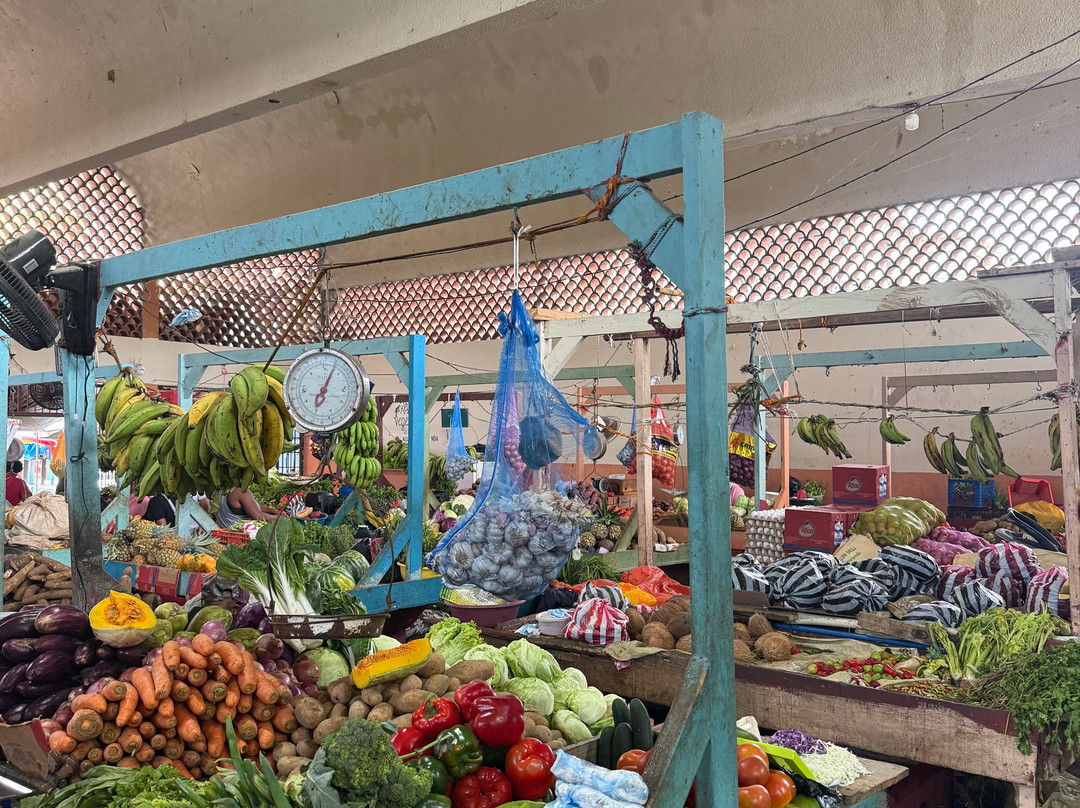 OlympiaOnBoard-Las Galeras必去景点