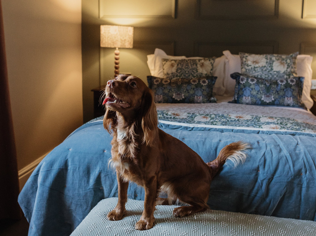 Cartmel Old Grammar Country House主图