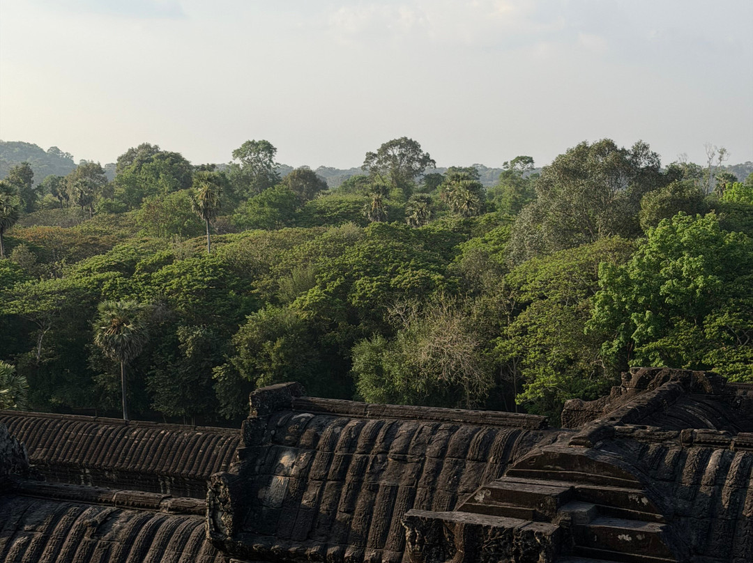 Angkor Wat Drivers-暹粒必去景点