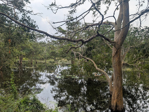 Ceylonicus Adventure-哈巴拉娜必去景点