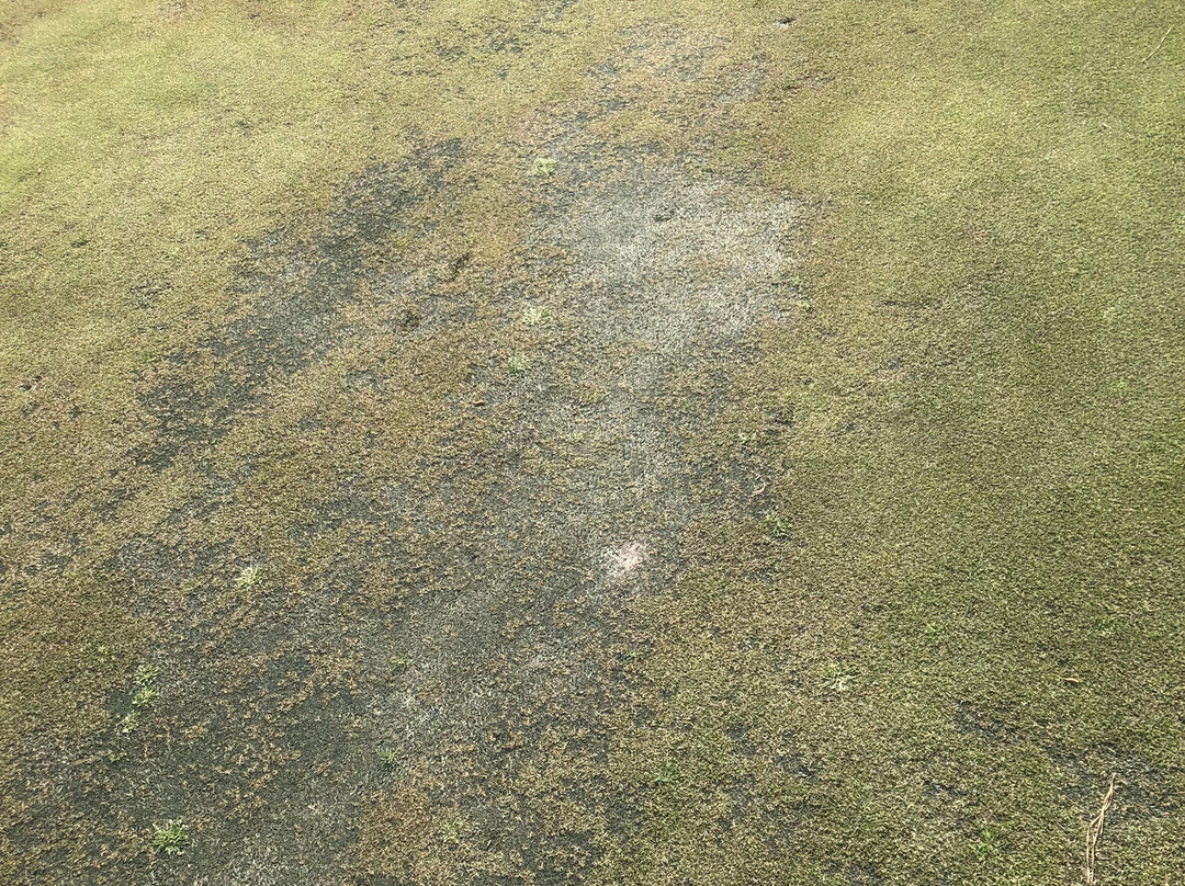 Cypresswood Golf Club-斯普林必去景点