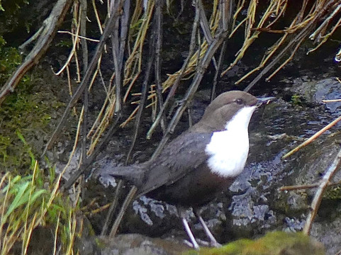 卡斯特德蒙德酒店主图