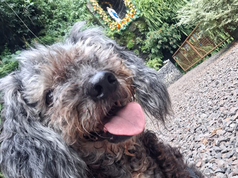 Gruta de Sede Figueira-Chapeco必去景点