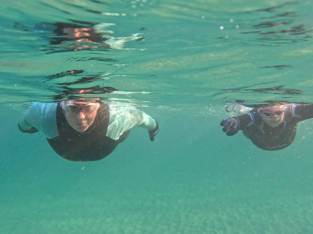 Wild Swim Wales-Broad Haven必去景点