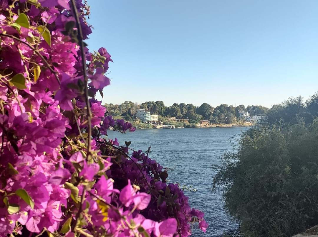 Beluga Sharm-沙姆沙伊赫必去景点