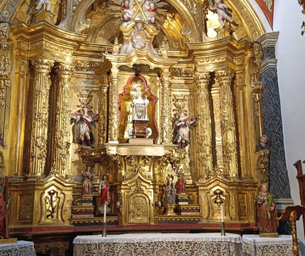 Navark Actividades Guiadas Estella-Estella必去景点