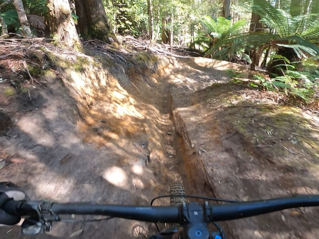 Maydena Bike Park-Maydena必去景点