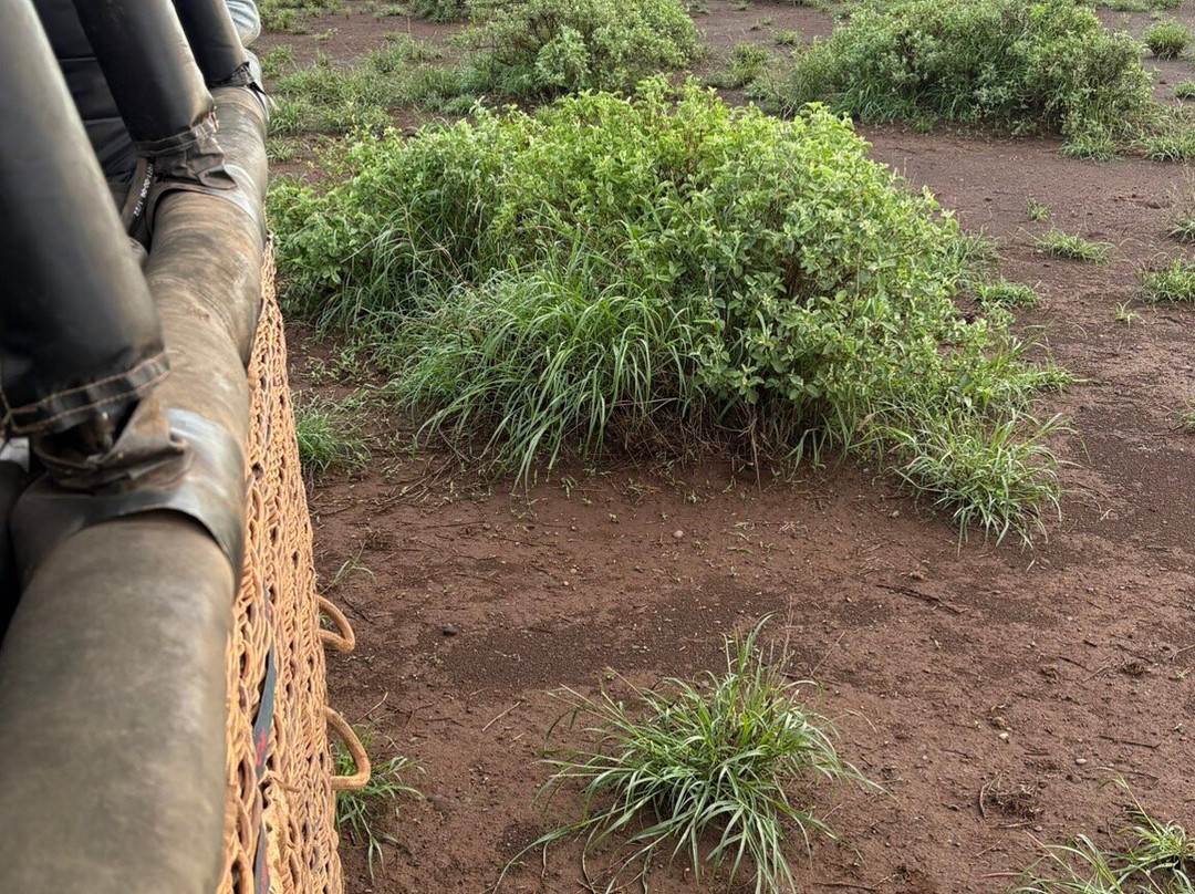 Kilimanjaro Balloon Safaris-安博塞利国家公园必去景点