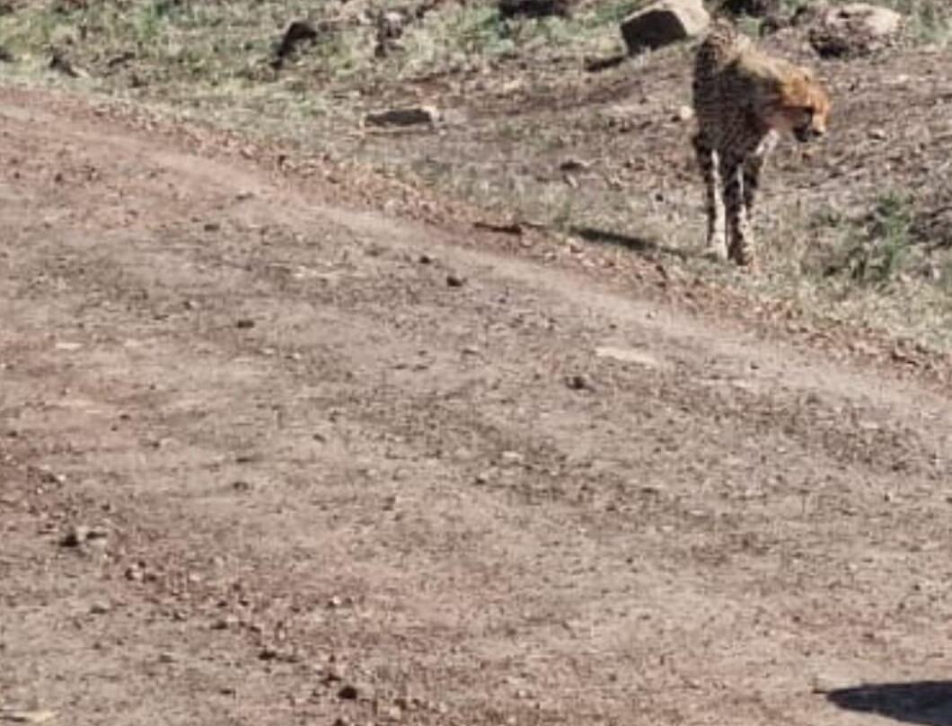 Natural World Kenya Safaris-Masai Mara-Mara North Conservancy必去景点