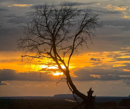 Jalapão Bicudo  Adventure-Ponte Alta do Tocantins必去景点