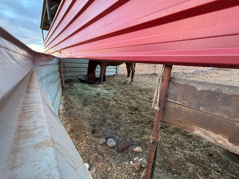 Horse Riding Canaria-特尔德必去景点